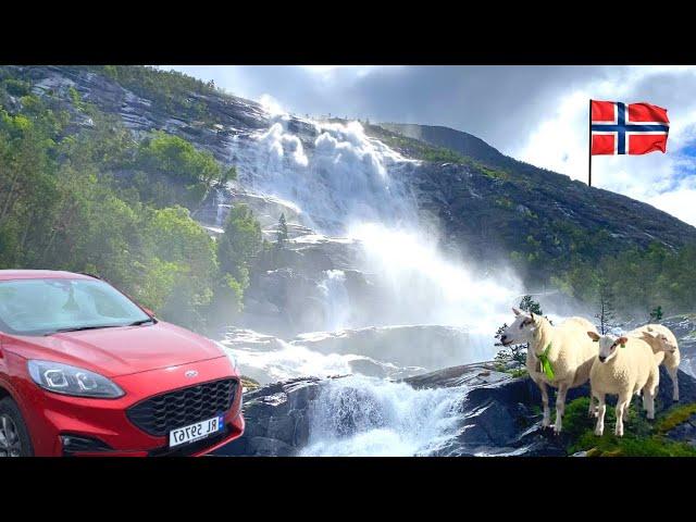 Mind-blowing Norway Road Trip Summer Adventure!!