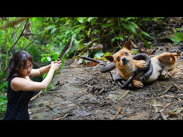 Lost Puppy, Attacked by a Snake/ 7 Days Solo Bushcraft & Survival P.6