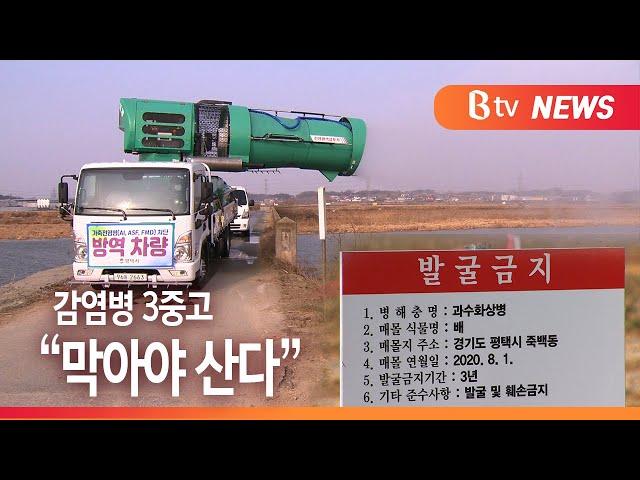 [B tv 기남뉴스]사람에 가축 과수까지...평택, 감염병 차단 '올인'