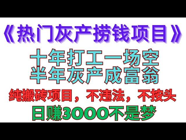 最新2024年网赚教程灰产项目，一个平台，买卡跑货月入5W+，安全跑分跑货，暗网2022年最稳网赚项目