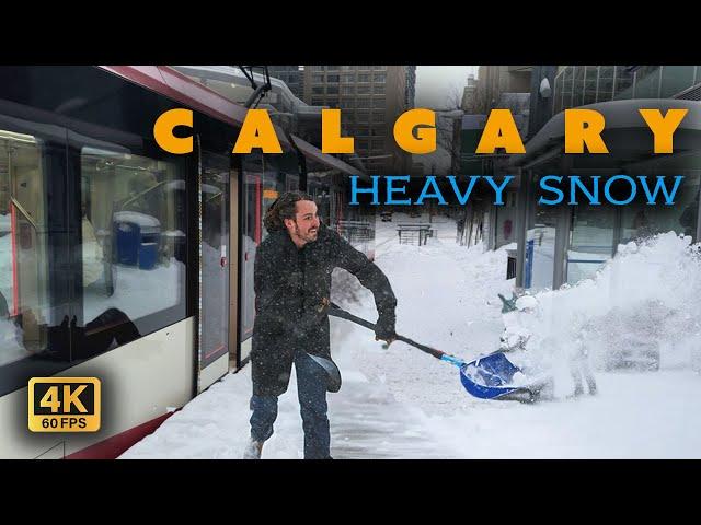 【4K】️ Calgary Winter Wonderland Walking tour: Downtown Snowy Adventure! ️#snow  #walkingtour #4k