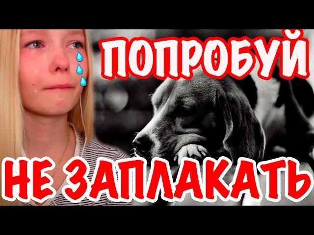 TRY NOT TO CRY CHALLENGE