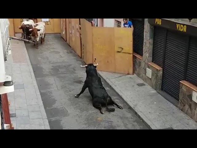 Bull Breaks Legs At Spanish Festival