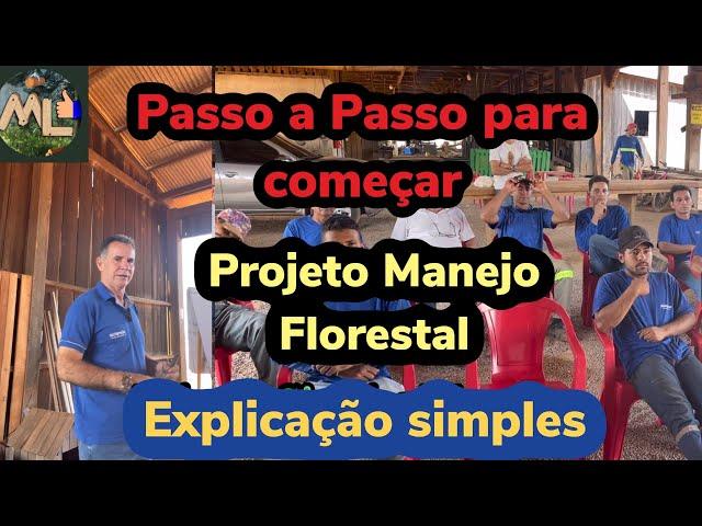 Como e feito o Projeto de Manejo? O Que é Projeto de Manejo Florestal?