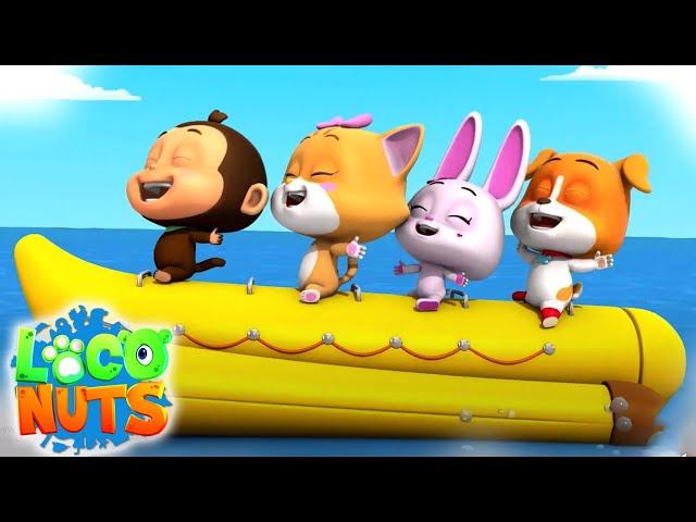 Verano eterno | Videos preescolares | Dibujos animados Loco Nuts Español | Jardín de infancia