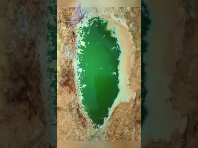 一不小心擦出帝王绿 #翡翠手鐲 #缅甸翡翠 #翡翠 #玉 #玉佩 #玉石 #赌石 #缅甸A货