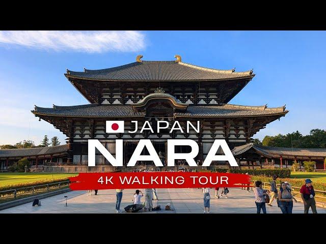 Nara, Japan 4K Walking Tour  Nara Park with Deers, Temples & Beautiful Nature 奈良