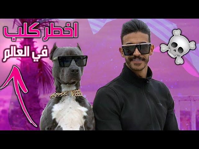 اخطر كلب في العالم | شوفو شو سوا فيني !