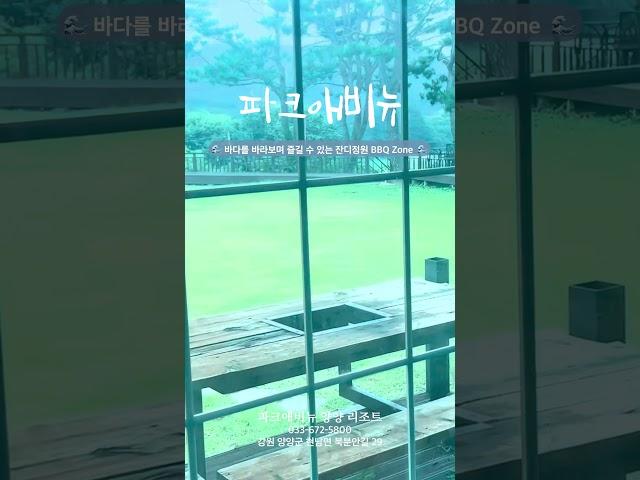 #오션뷰 #잔디정원 #BBQ zone이 있는 #강원도 #파크애비뉴 #양양 #리조트