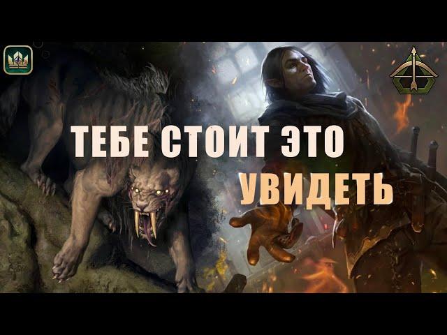 ШИРРУ и УНИЧТОЖЕНИЕ карт противника (Ширру, Саблезубый тигр, Саския) [НЕ ГАЙД] Гвинт | Gwent 10.9