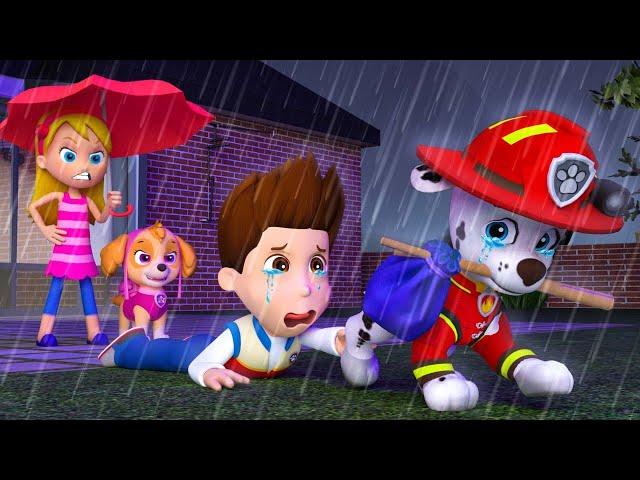 PAW Patrol: The Movie #27 ► Marshall's Runs Away From Home - So Sad Story | Rainbow