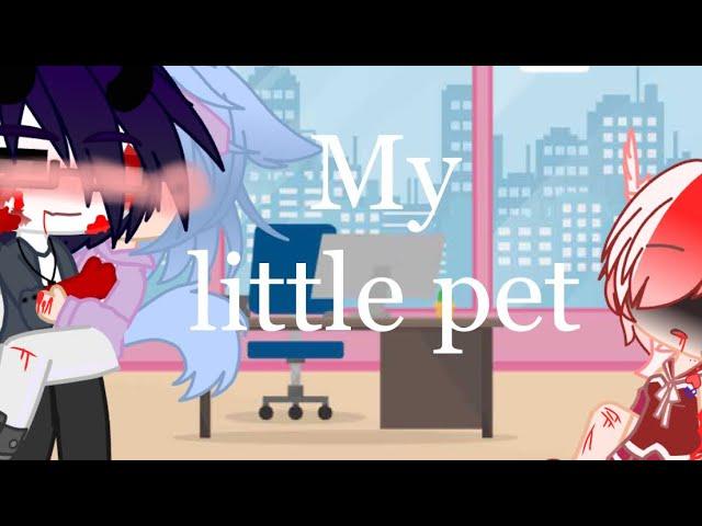 My little pet2//I don’t know what to do with the end....