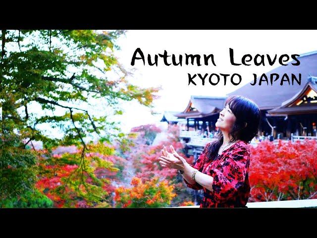 Autumn Leaves in KYOTO - Jun Izumi & Yuto Kanazawa