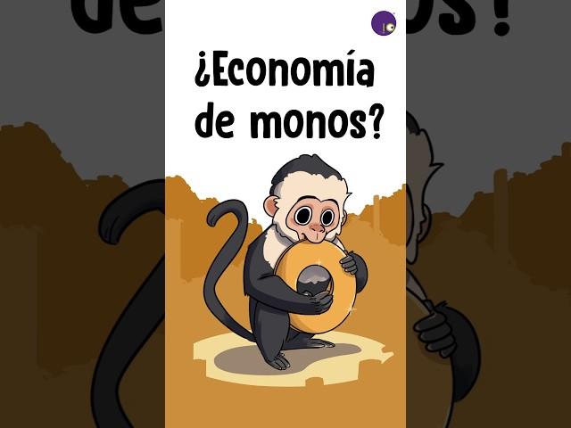 ¿Economía de monos?