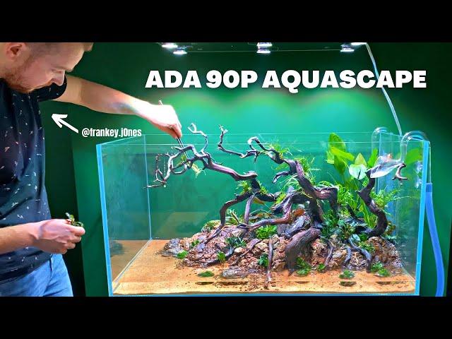 DUTCH GUY SHOWS HIS AMAZING AQUASCAPE COLLECTION (HOME TOUR)