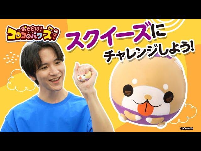 おとどけ！コロコロパワーズ！ぷにぷにスクイーズ遊び方紹介動画