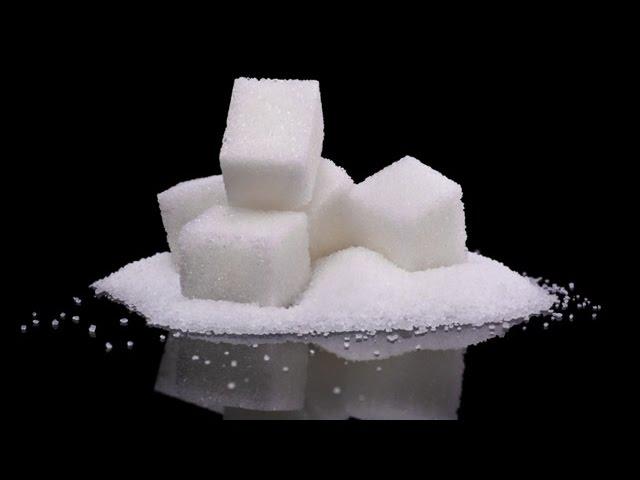 The Secrets of Sugar - the fifth estate