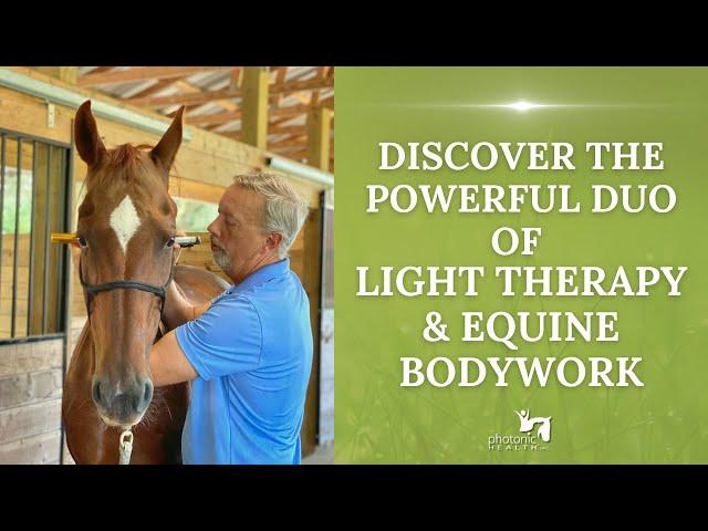 Discover the Powerful Duo of Light Therapy and Equine Bodywork