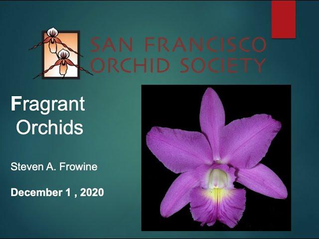 Dec 1 2020 SFOS Zoom meeting with Steve Frowine speaking on Fragrant Orchids