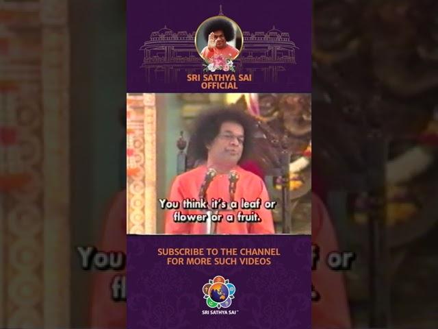 What Does God Expect From Us | Sri Sathya Sai Baba | #Shorts