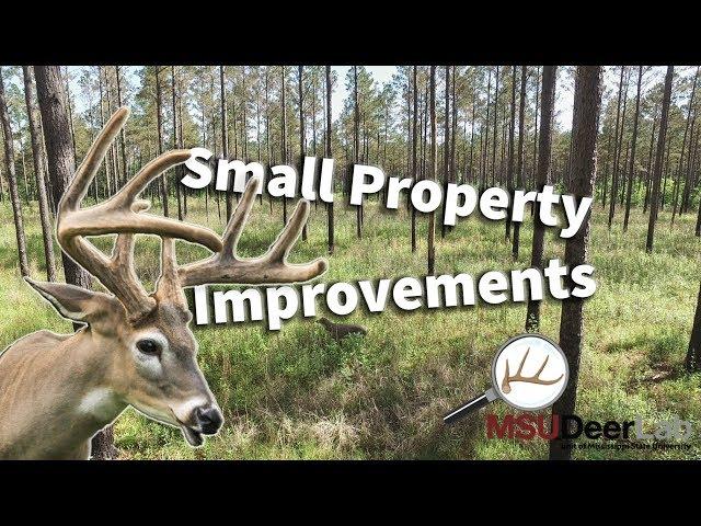 Small Property Habitat Improvements