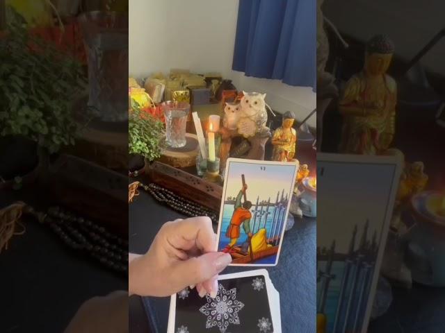 #carta #tarot #leitura #taro #leituradetarot