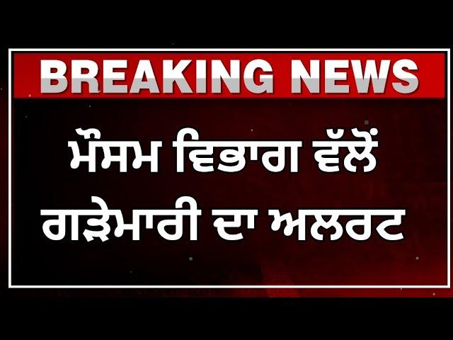 Punjab news ,Punjab news update , Bhagwant Maan news ,Punjabi kharba, 1 February 2024