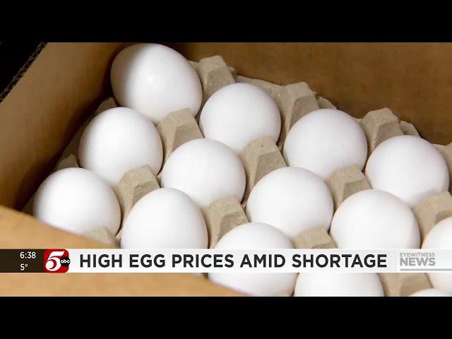 Egg prices soar in the past year as local businesses adjust to extra costs