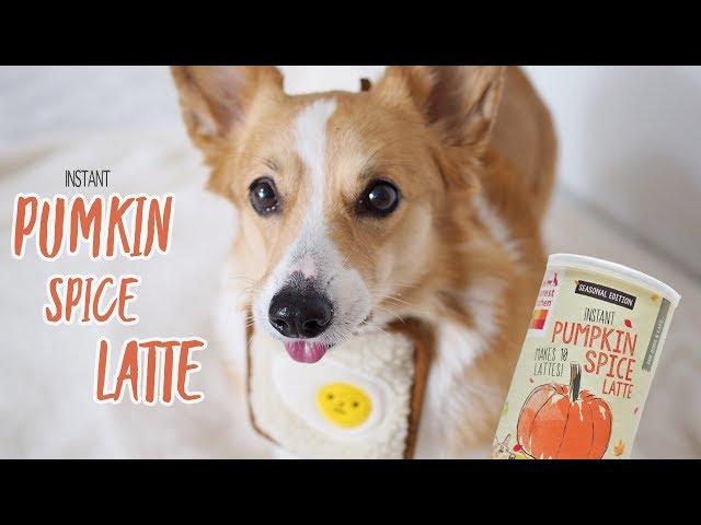 PUMKIN SPICE LATTE(INSTANT) for DOGS - SAMCORGI