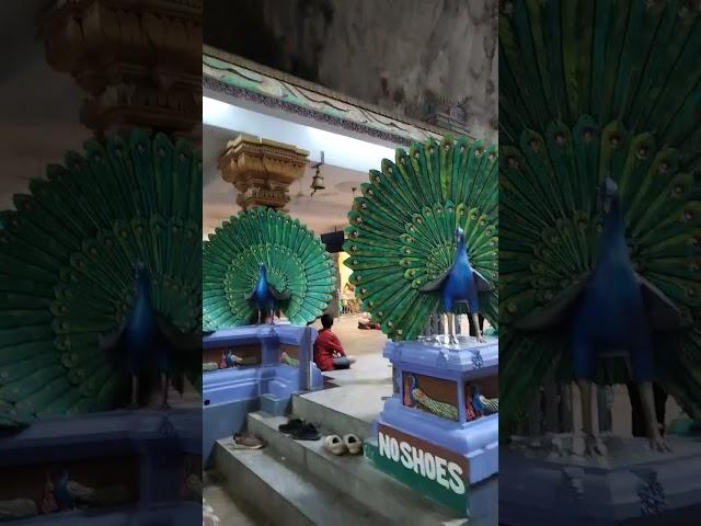 what's inside the Batu Cave in Malaysia