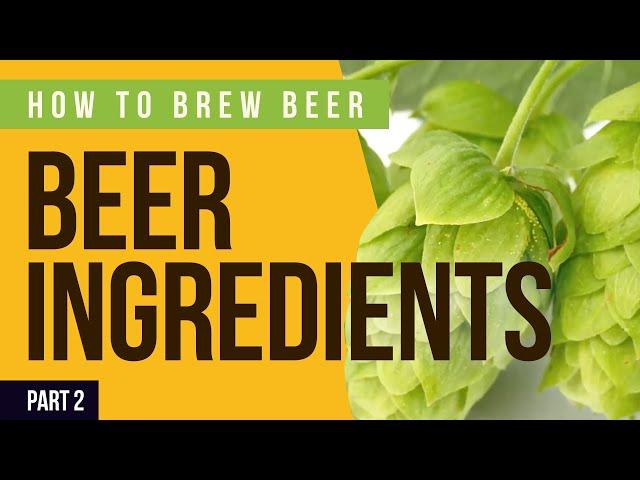 How to Brew Beer: Beer Ingredients (Part 2)