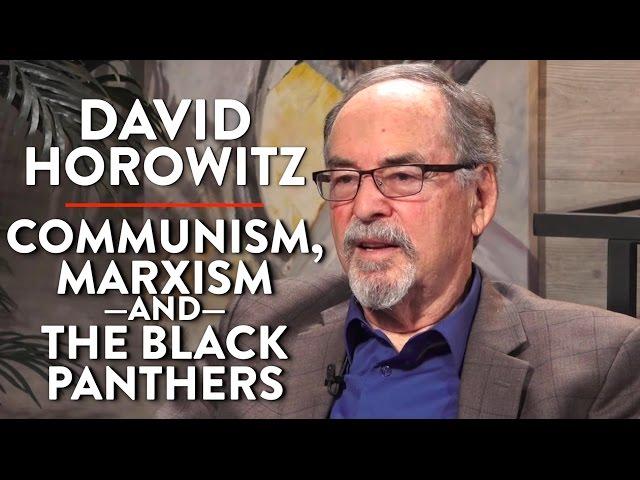 On Communism, Marxism, & the Black Panther Party (Pt. 1) | David Horowitz | POLITICS | Rubin Report
