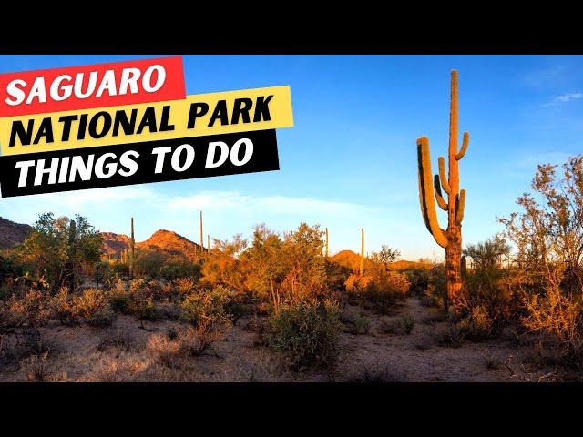 Saguaro National Park | 18 TOP Things To Do & 9 ESSENTIAL Tips