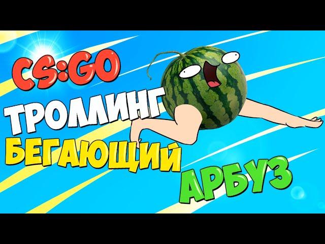 CS:GO троллинг: "Бегающий арбуз"