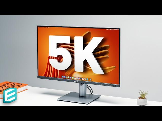 5K Mac Monitor for JUST $799  ASUS ProArt 5K Display Review 2024