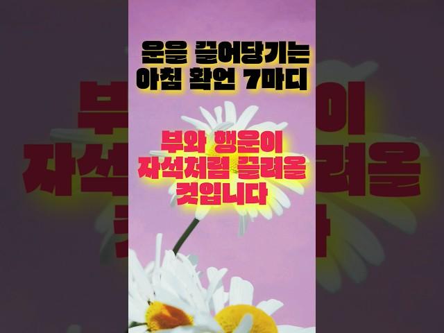 하루의 운을 끌어당기는 7마디 #긍정확언 #아침명상