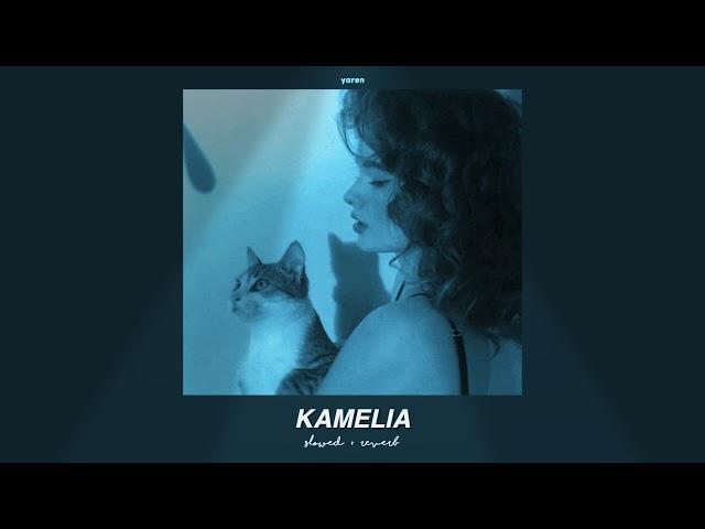  akcent - kamelia (slowed + reverb) // feat. lidia buble & ddy nunes