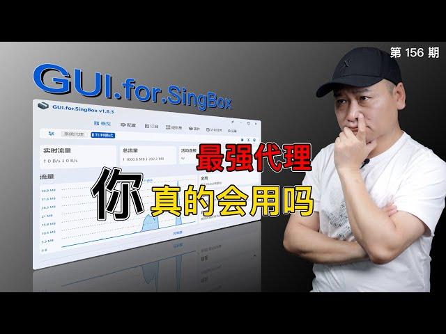 最强代理软件！GUI.For.SingBox详细使用教程，规则配置、节点转换不求人！TUN，策略组、分流规则集、路由规则、节点整理最新保姆级教程！（关联翻墙客户端/ 2024/SingBox内核）