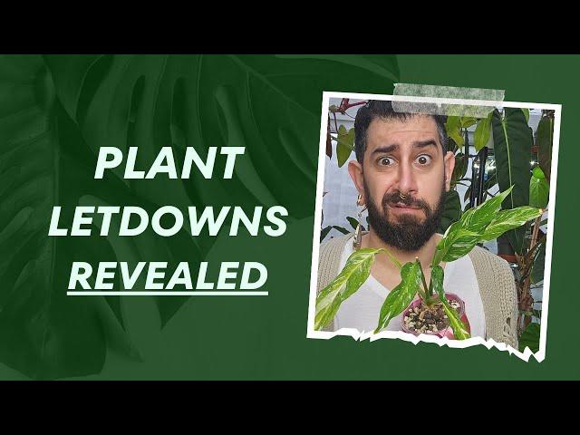 Not Worth It! Top 10  | Houseplants I Wouldn't Recommend! ‍️