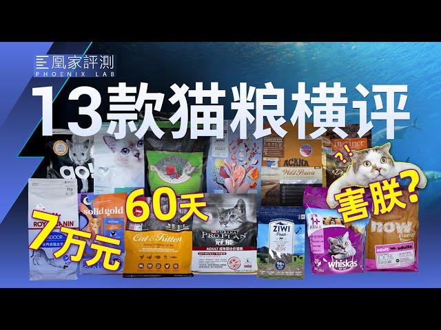 畅销猫粮反而 “有毒” ？花6万检测13款猫粮替你避雷 | 凰家实验室