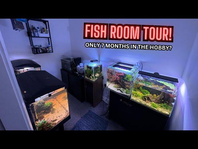 The Best Start To Fishkeeping? - Fish Room Tour With @TheFishkeepingGinge