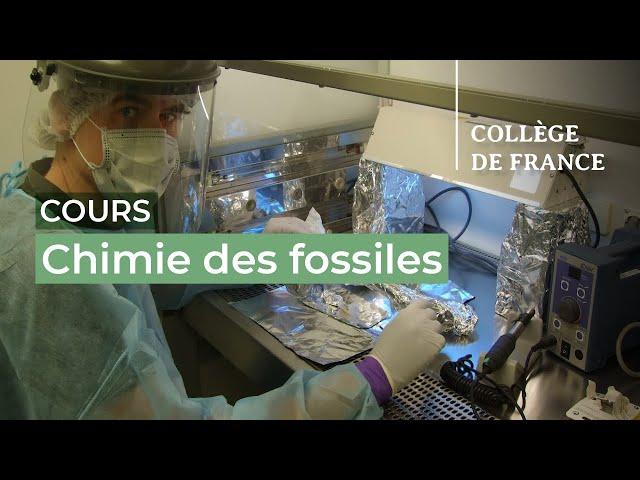 Chimie des fossiles (1) - Jean-Jacques Hublin (2023-2024)