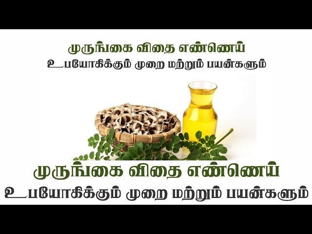 முருங்கை விதை எண்ணெய் பயன் படுத்தும் முறை மற்றும் பயன்கள் - HEALER BASKAR