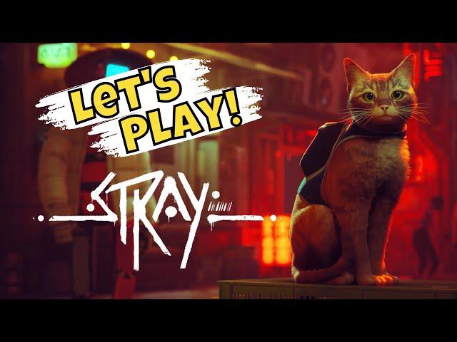 First Impressions of STRAY (A Cat Video Game) *PART 1*