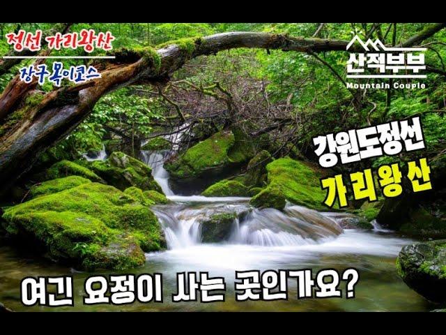 [4K]여름에 꼭 가야하는 산/여름에 추천 하는산/가리왕산/이끼계곡/강원도 정선/블랙야크 100대명산/ Mountain / South Korea / Hiking