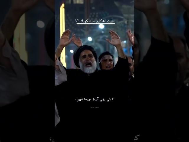 Afwan ya hussain | persian noha urdu subtitles || Hussein pouyanfar noha ||