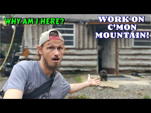 IT'S TIME TO MOVE THEM  | vlog, couple, life, tiny house, homesteading, off-grid, rv life, rv |