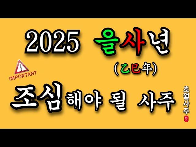 [2025년 운세] 을사년 조심해야 될 사주!