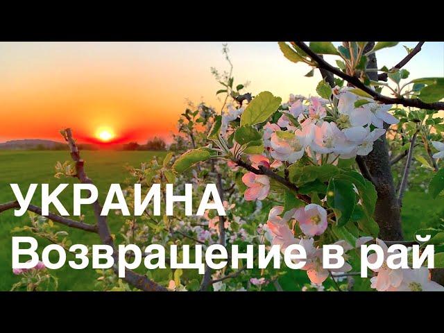 Украина. Возвращение в рай. Жизнь в украинском селе 1ч Ukraine. Return to Paradise. Life in Village