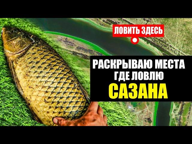 ГДЕ ЛОВИТЬ САЗАНА В АСТРАХАНИ? ПЯТЬ МЕСТ ГДЕ ВЫ ТОЧНО ПОЙМАЕТЕ САЗАНА! РЫБАЛКА В АСТРАХАНИ 2024!